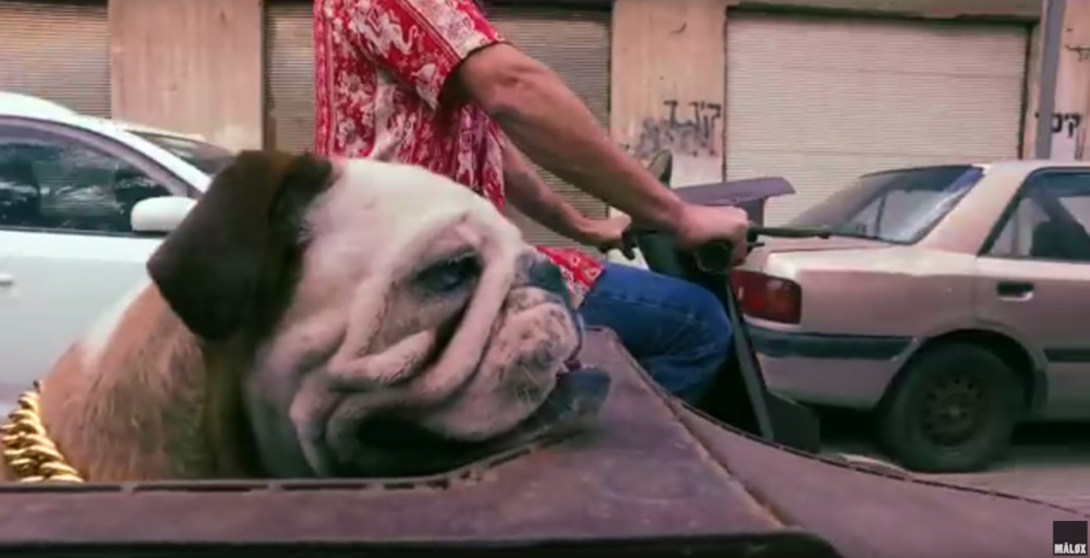 GreedyforBestMusic-Malox_Echo&Tito_Boombastic_video_still