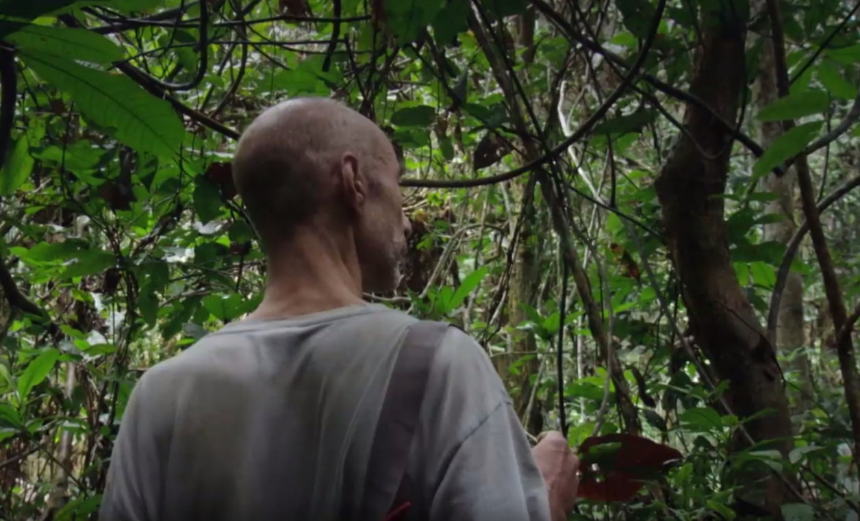 GreedyforBestMusic-LouisSarno-SongFromTheForest-MichaelObert-film-still