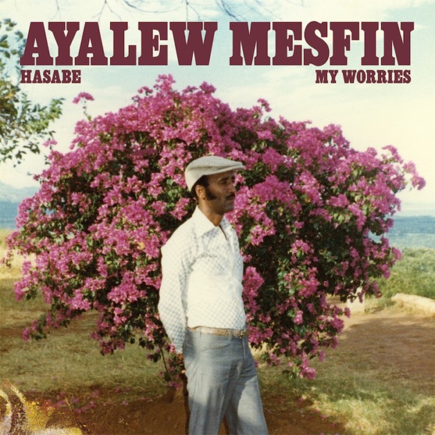 GreedyforBestMusic-AyalewMesfin-Hasabe-MyWorries-NowAgainRecords-VinylMePlease-cover
