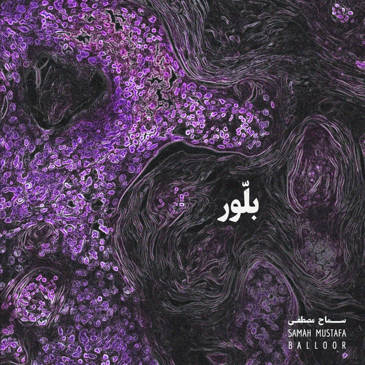 GreedyforBestMusic-Samah-Mustafa-Balloor-Bandcamp