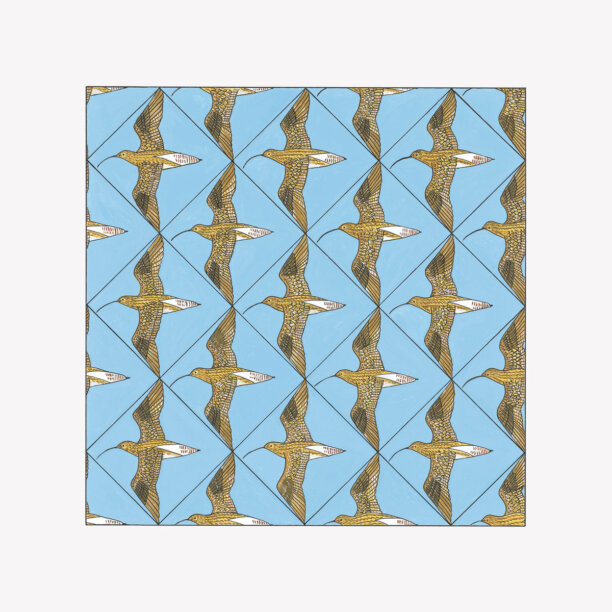 GreedyforBestMusic-Various-Artists-Simmerdim-Curlew-Sounds-RSPB-Bandcamp-Tara-Okon