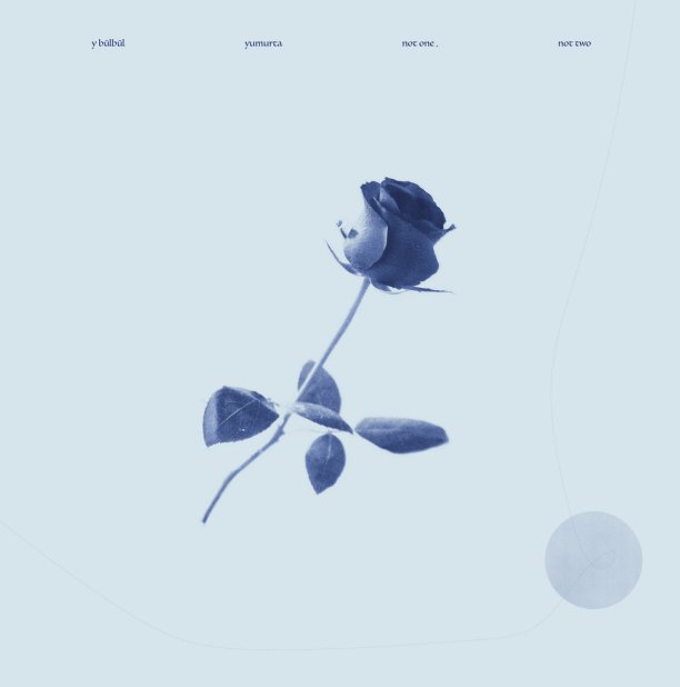 GreedyforBestMusic-Y-Bülbül-Yumurta-Not-One-Not-Two-Pingipung_Records